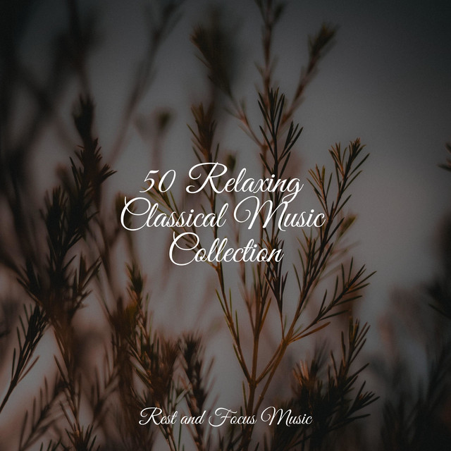 50 Relaxing Classical Music Collection - Album by Natureza Musica Bem ...