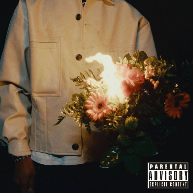 Es liegt nicht an mir es liegt an dir cover art