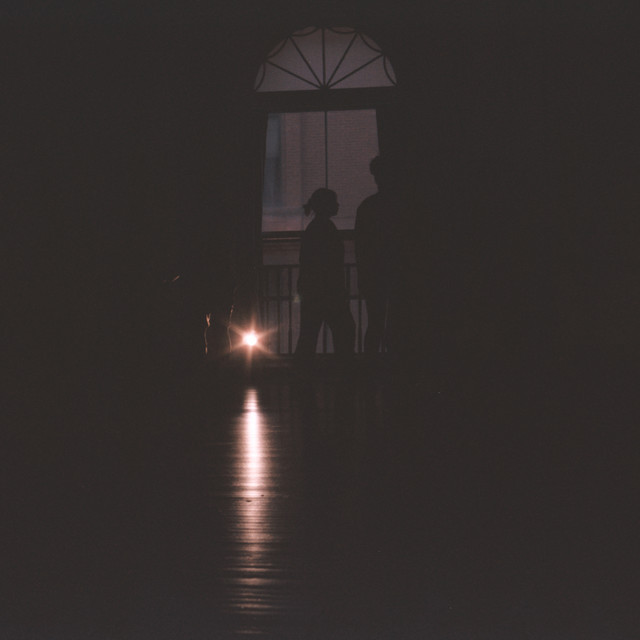 Wind Lullaby / Tree 1 cover art