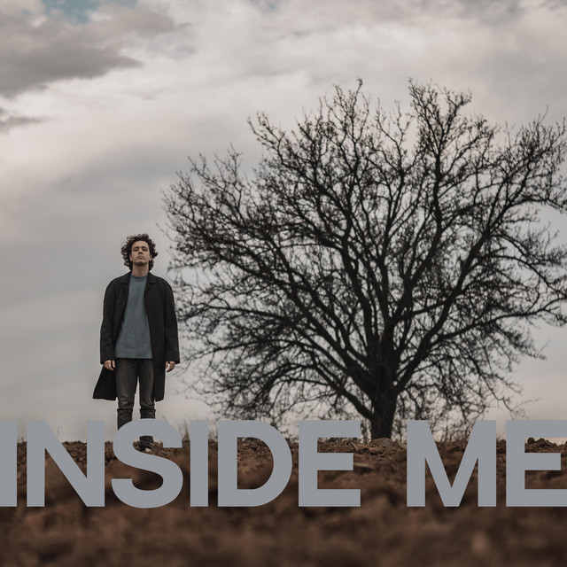 Обкладинка: Inside Me — Alex Pian