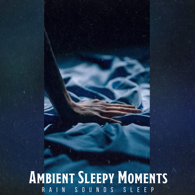 Ambient Sleepy Moments - Album by Rain Sounds Sleep | Spotify