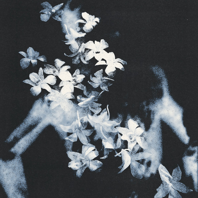 Silent Attraction
