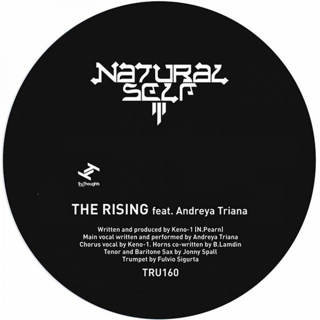 The Rising cover art