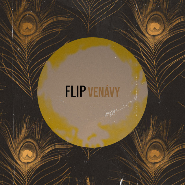Flip cover art