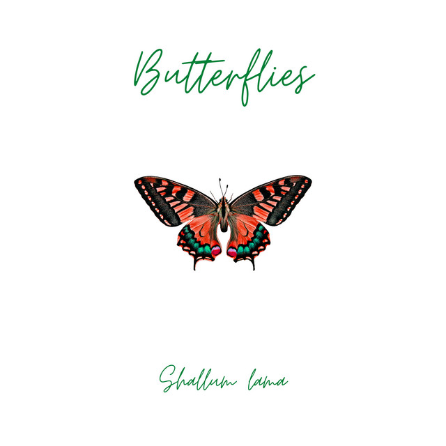 Butterflies