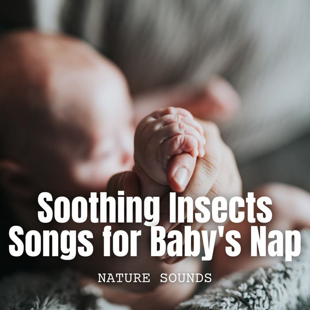 Nature Sounds: Soothing Insects Songs for Baby's Nap - Album by The ...