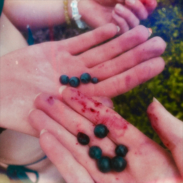 Feral cover art