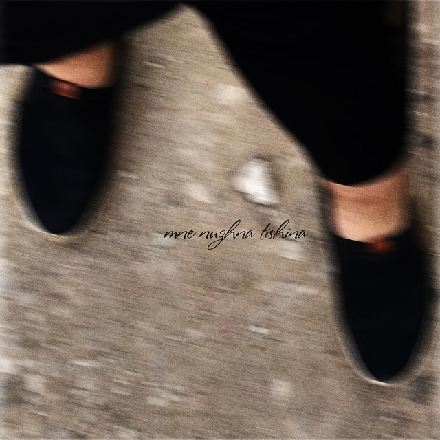 mne nuzhna tishina. instrumental. vol 1 cover art