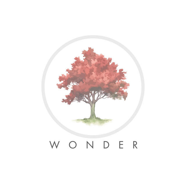 Wonder cover art