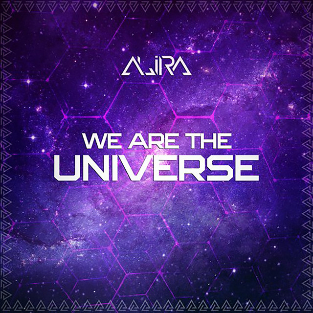 We Are The Universe
