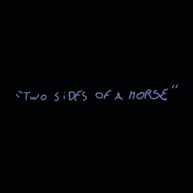 Two Sides of a Horse cover art