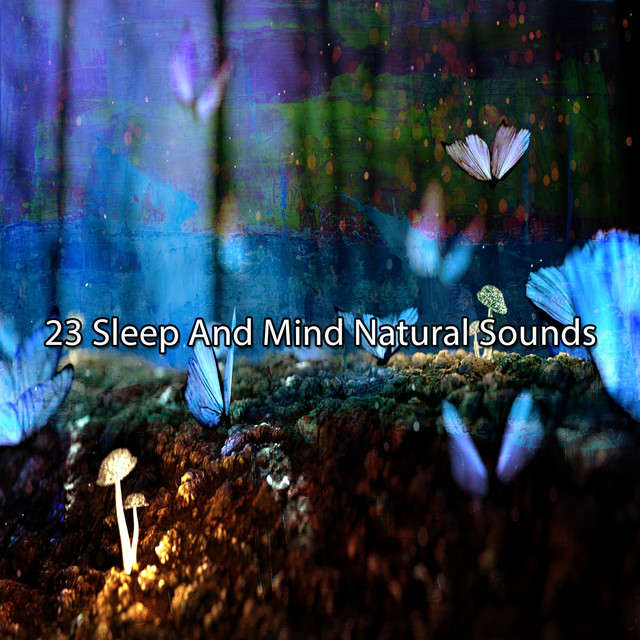 23 Sleep And Mind Natural Sounds - Album by Nature Sounds Nature Music ...