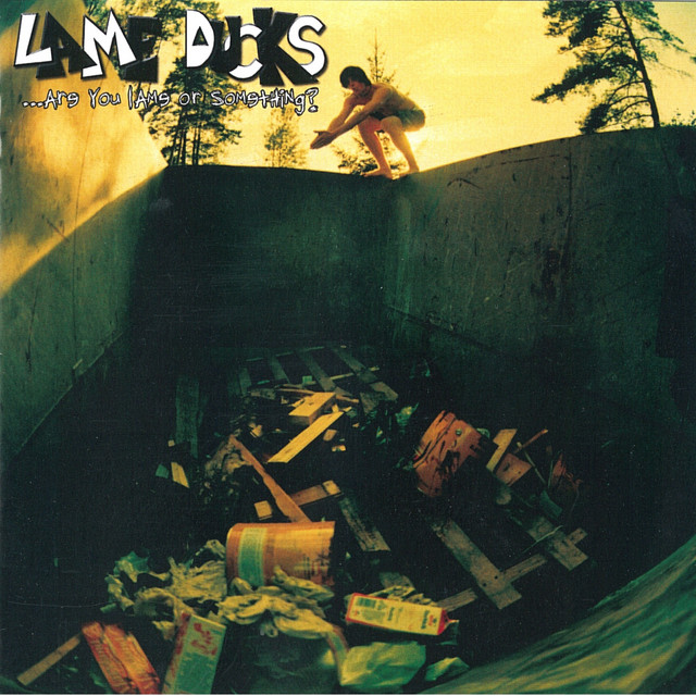Are You Lame or Something? cover