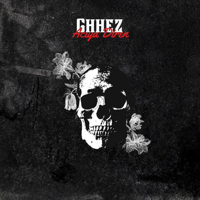 Acıya Diren cover art