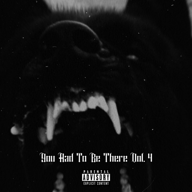 You Had To Be There, Vol. 4 cover art