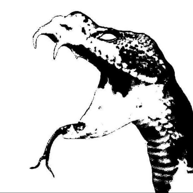 R.I.P A.M cover art