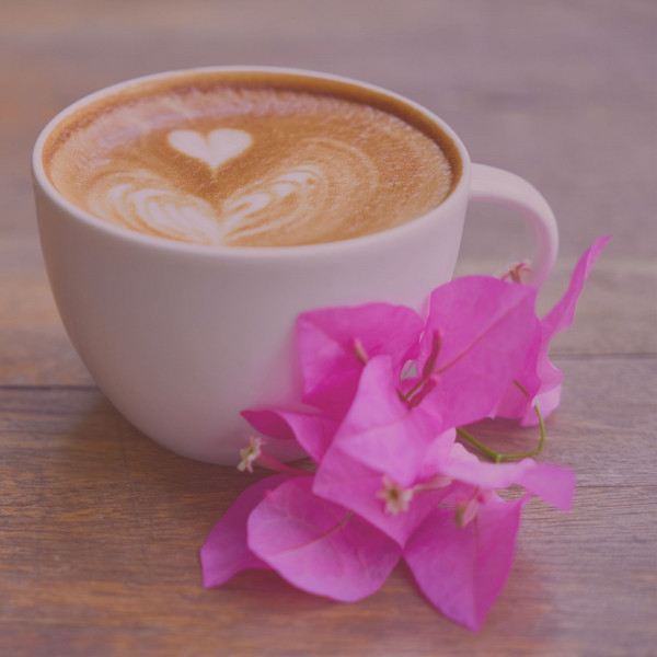 Mellow Jazz Trio - Ambiance for Resting at Coffee Shops cover art