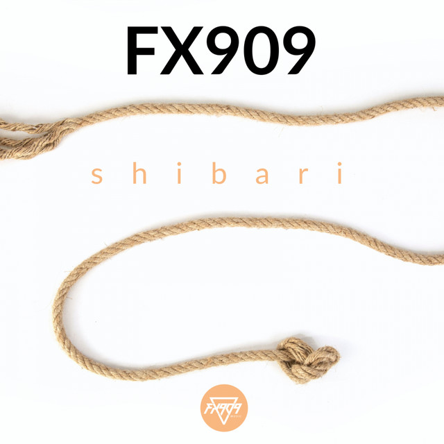 Shibari artwork
