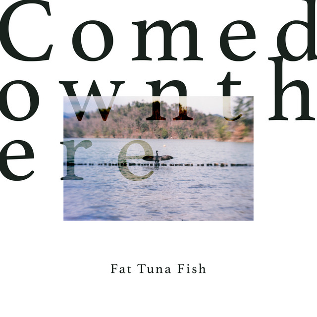 Fat Tuna Fish - Single by Comedownthere | Spotify