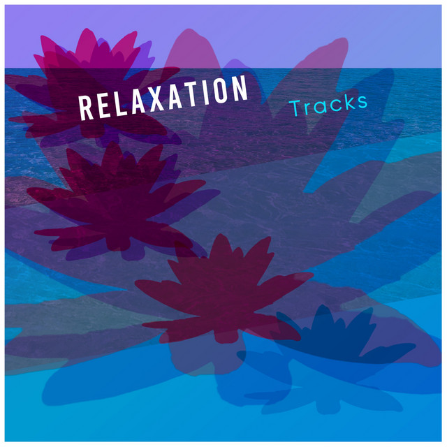 50 Relaxation Tracks - Compilation by Various Artists | Spotify