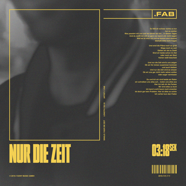 Nur Die Zeit cover