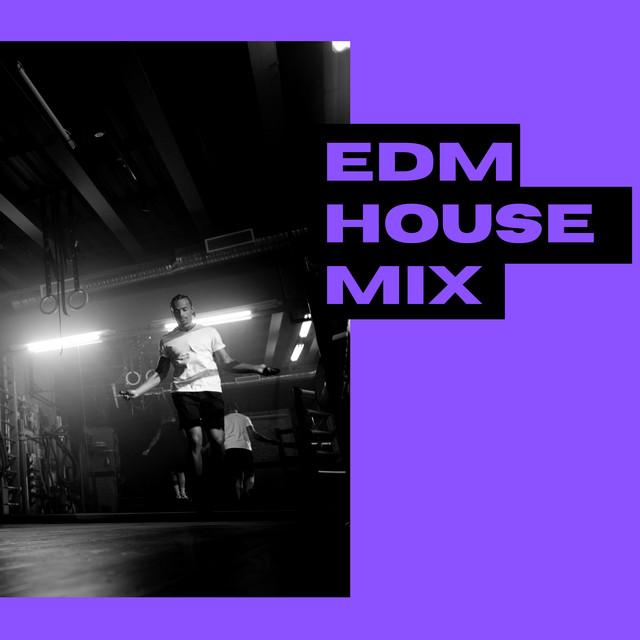 EDM House Mix cover art