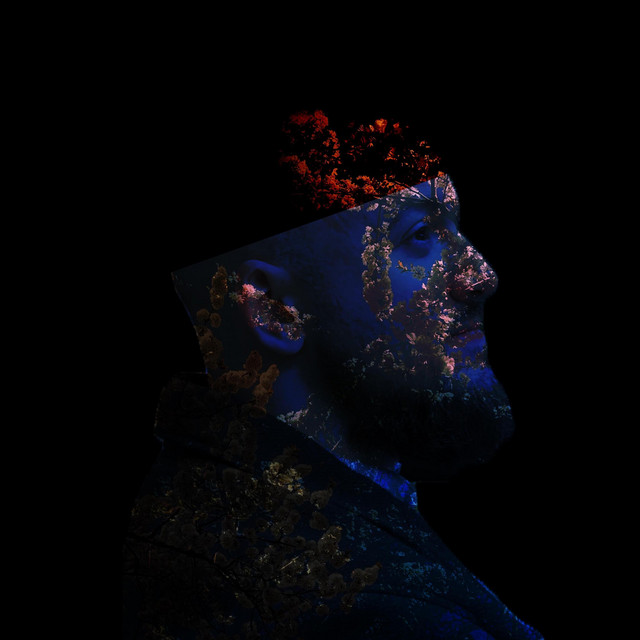 Cover art: Алергія — Provisnyk