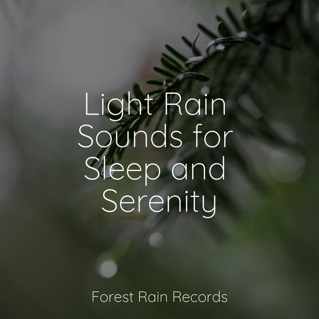 Light Rain Sounds for Sleep and Serenity - Album by Binaural Beats ...