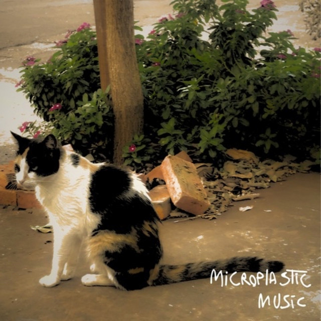 Microplastic Music cover art