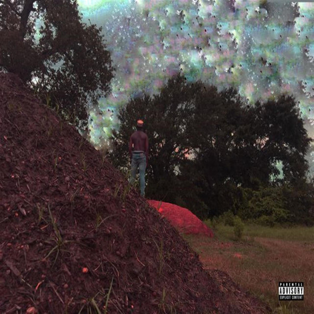 Obstructed Environments cover art