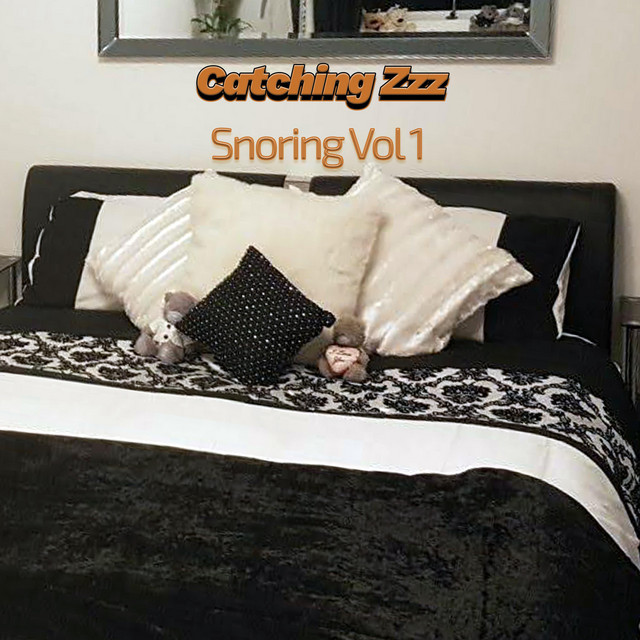 Catching Zzz | Spotify