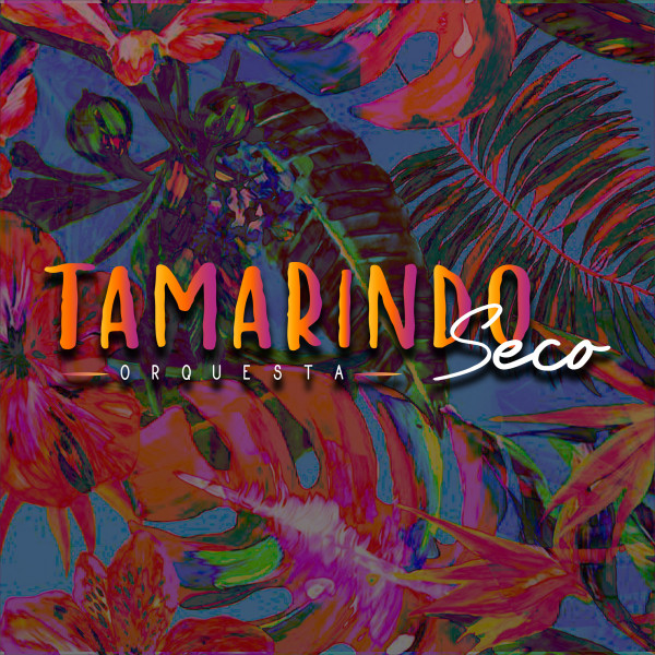 Éxitos - Album by Tamarindo Orquesta | Spotify