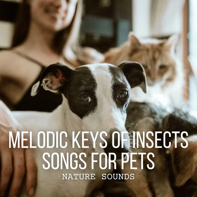 Nature Sounds: Melodic Keys of Insects Songs for Pets cover art