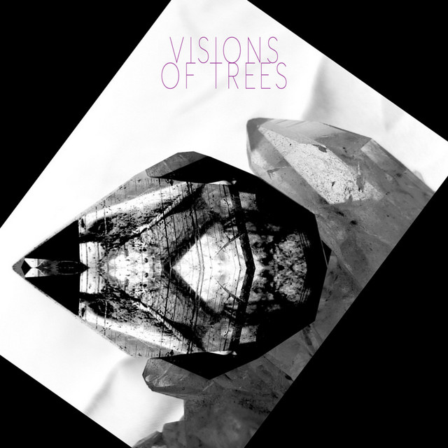 Visions of Trees cover art