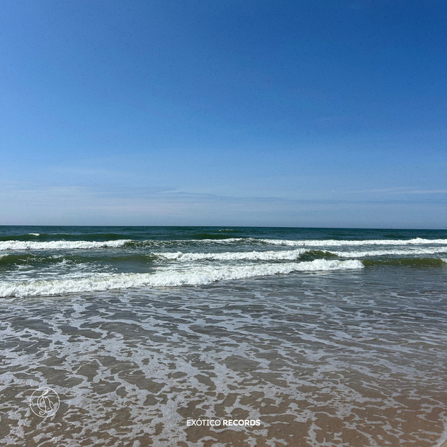 Portada de Palanga