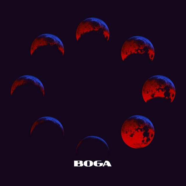 Seeds cover art