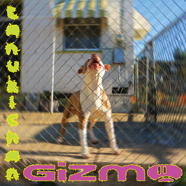 GIZMO cover art