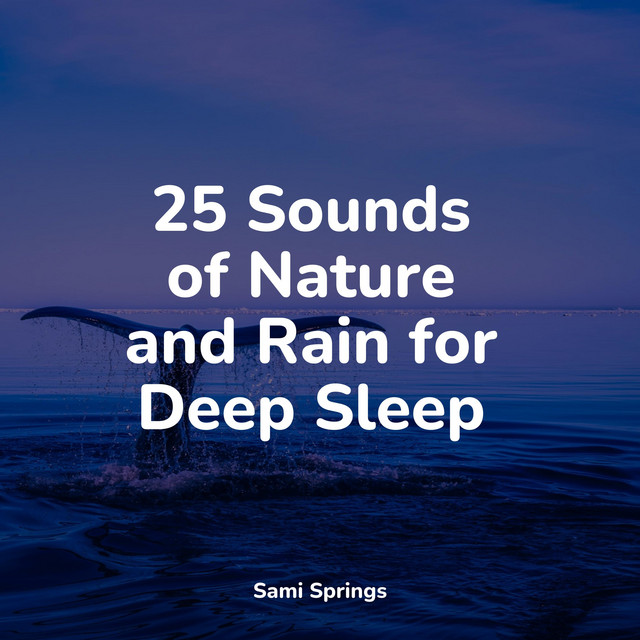 25 Sounds of Nature and Rain for Deep Sleep - Album by Sampling XL ...