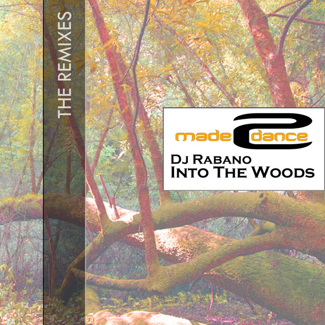 Into The Woods - Anjiro Rijo Remix cover art