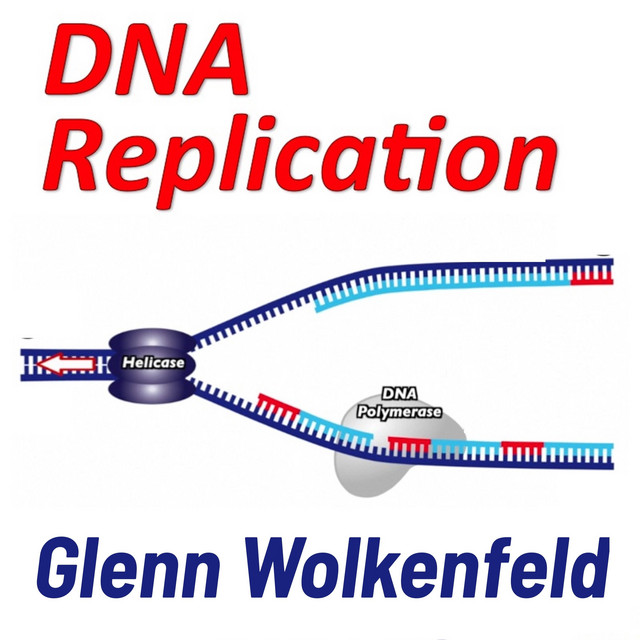 Spotify Dna Gen