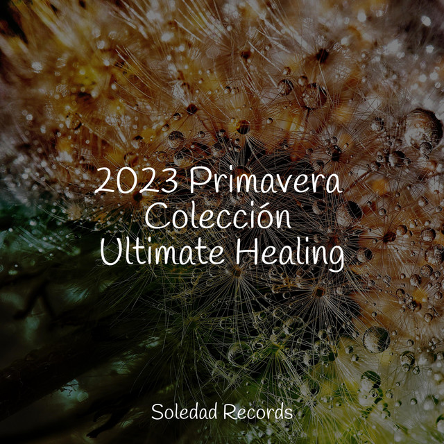 2023 Primavera Colección Ultimate Healing
