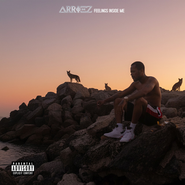 Feelings Inside Me cover art