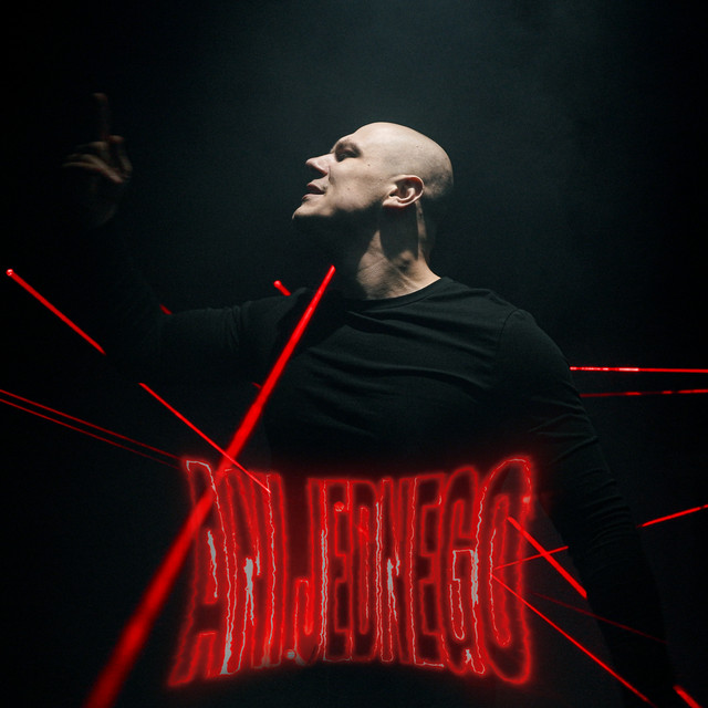 Ani jednego cover art