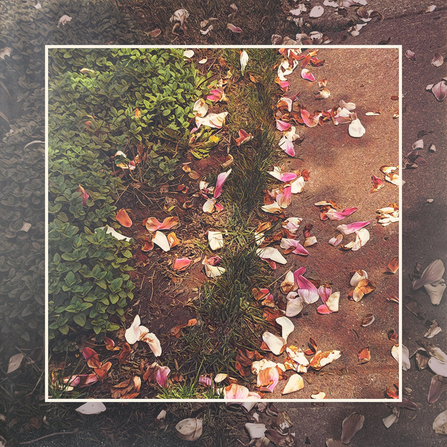 Kasual cover art