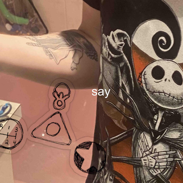 say cover art