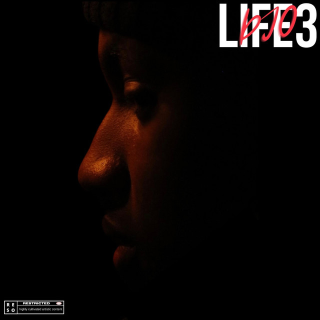 Life 3 cover art