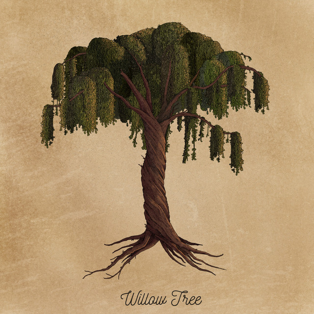 Willow Tree