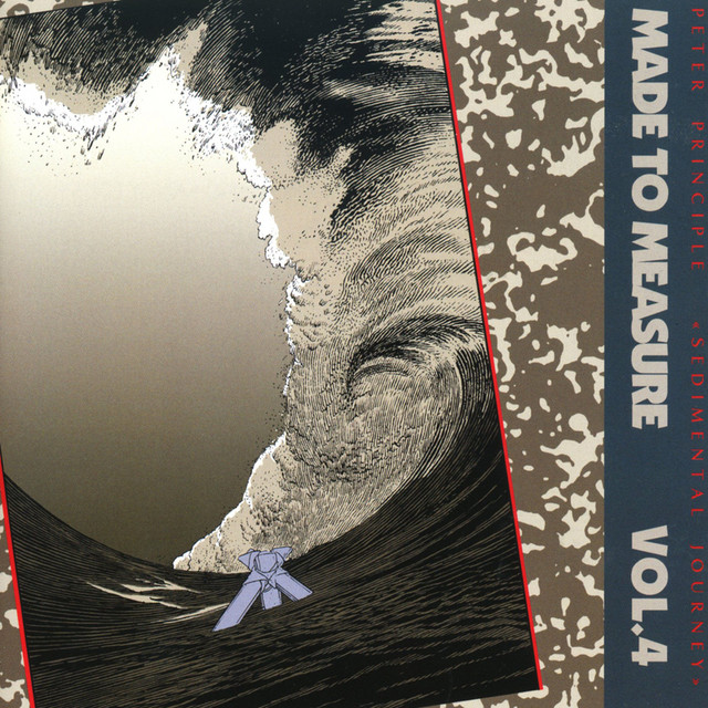 Sedimental Journey cover art
