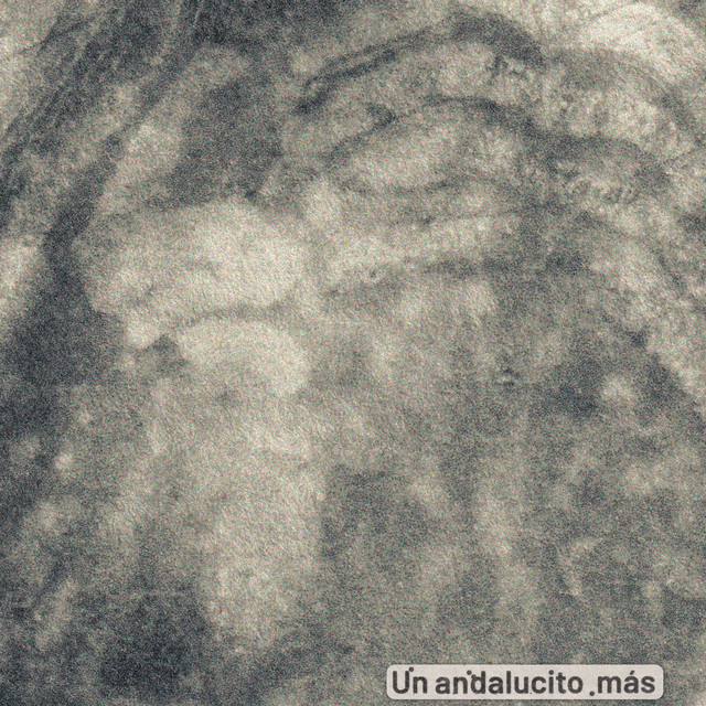 Un andalucito más (single)