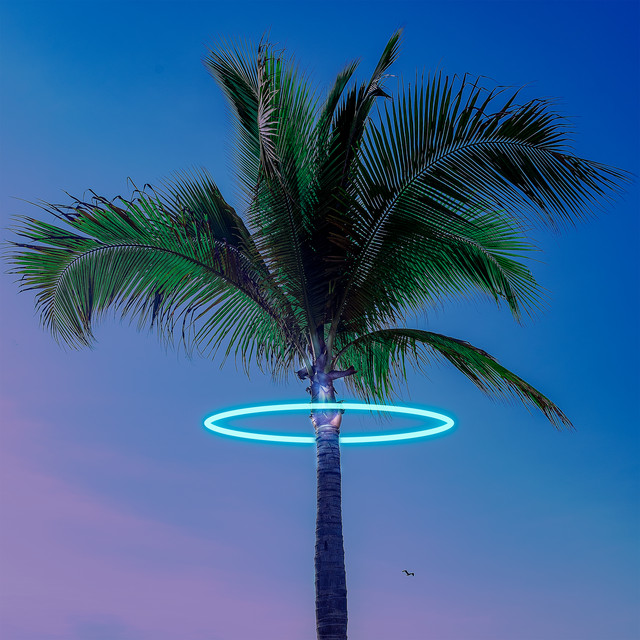 Paradise cover art